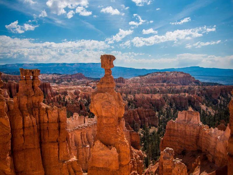 sudoku no mistakes screenshot 6